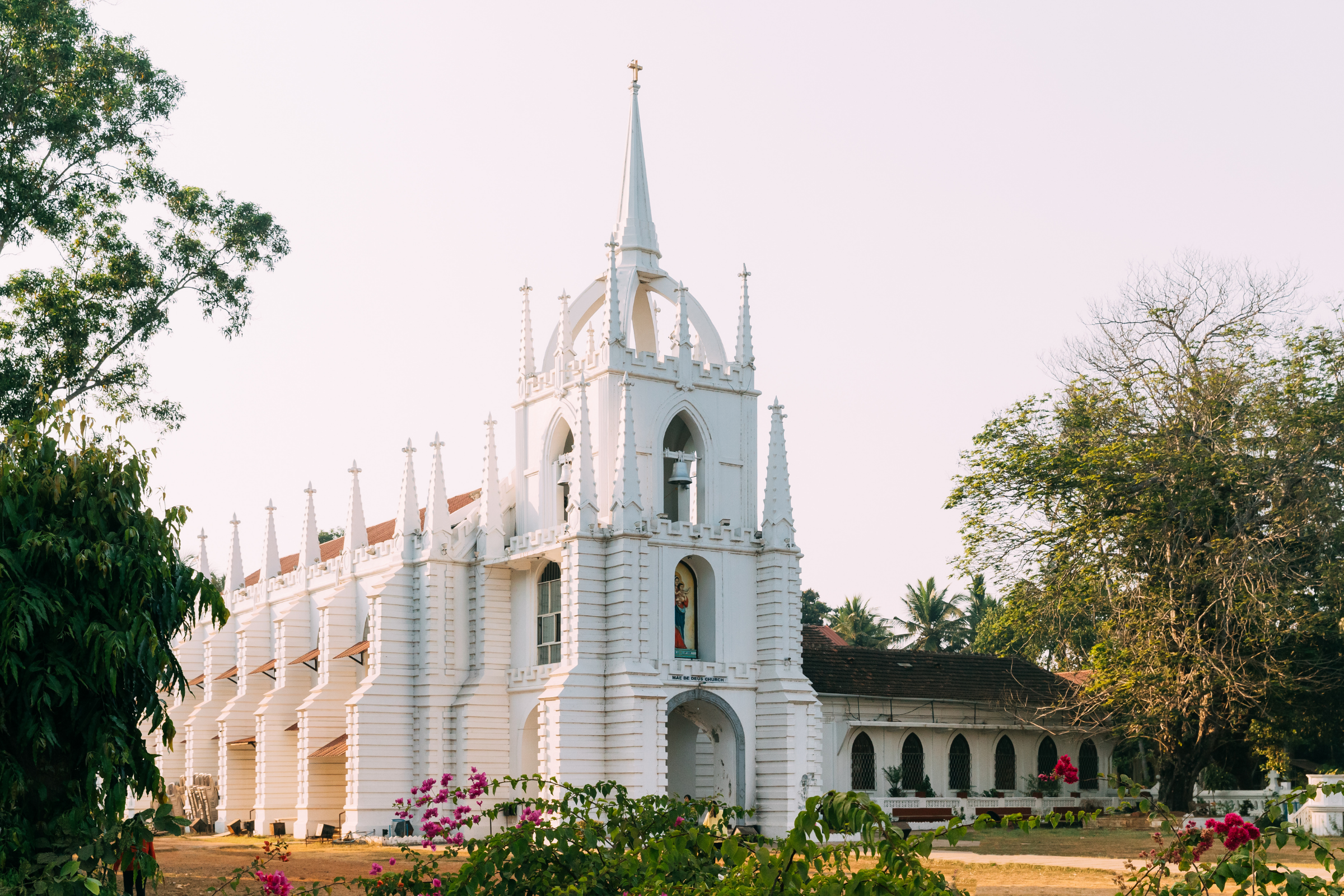 goa (3).webp